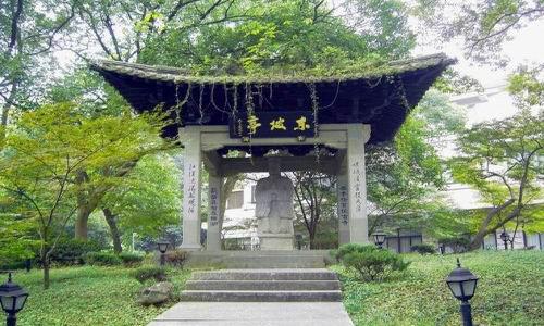 �|��ͤ ����������