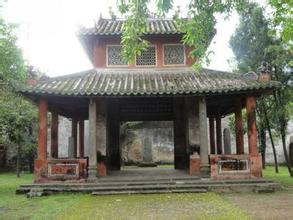 ����ͤ������������