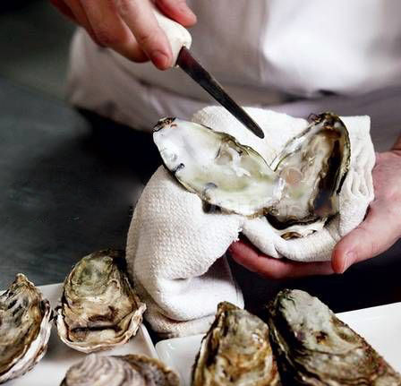 ��ϖ �V���������ξW(w��ng)