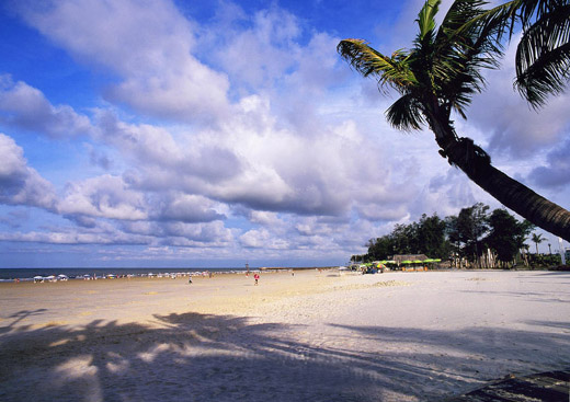 �y�� �V������������