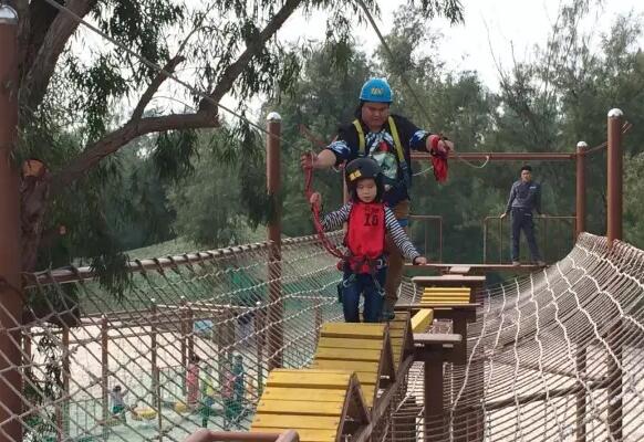 �t���� �V���������ξW(w��ng)