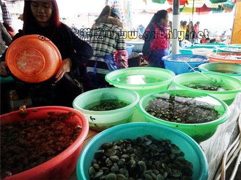 Ј(chng) V VξW(wng)