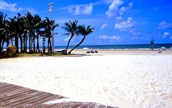 �V������������ �y��