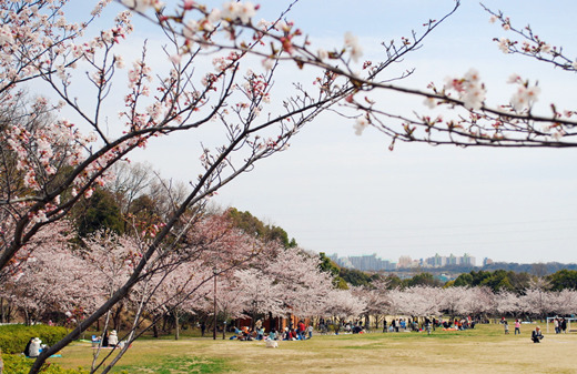 �V������������