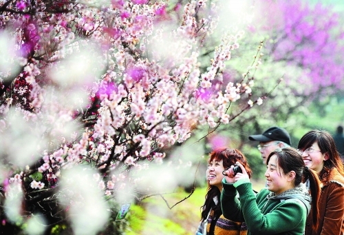 �V������������ ��������