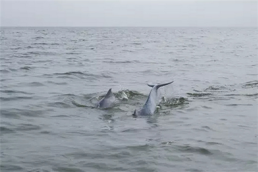 �V������������ ����