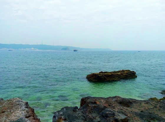 �������Σ��V������������