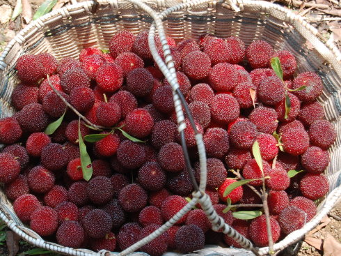 �����������V������������