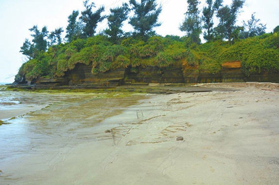 �������ލu���V������������