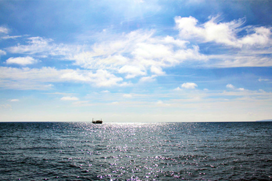 ���������������V������������