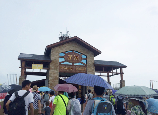 �����������V������������