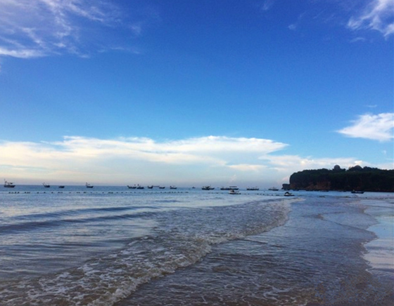 �����������V������������