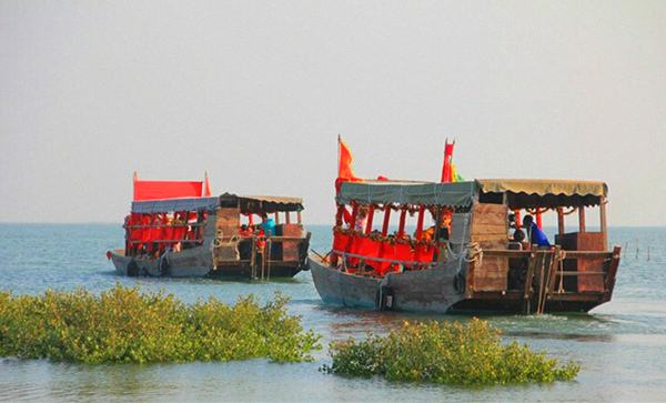 �����D�����V������������