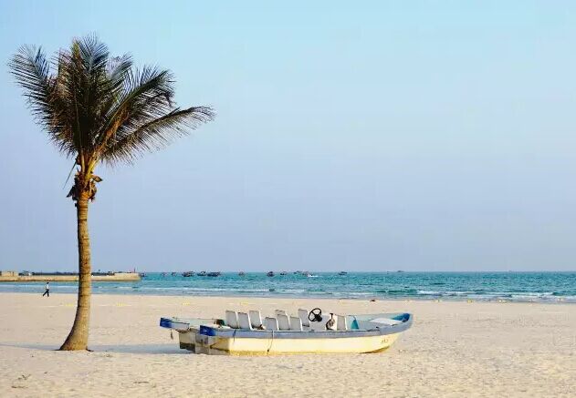 �����������V������������