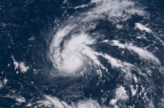 �������V������������