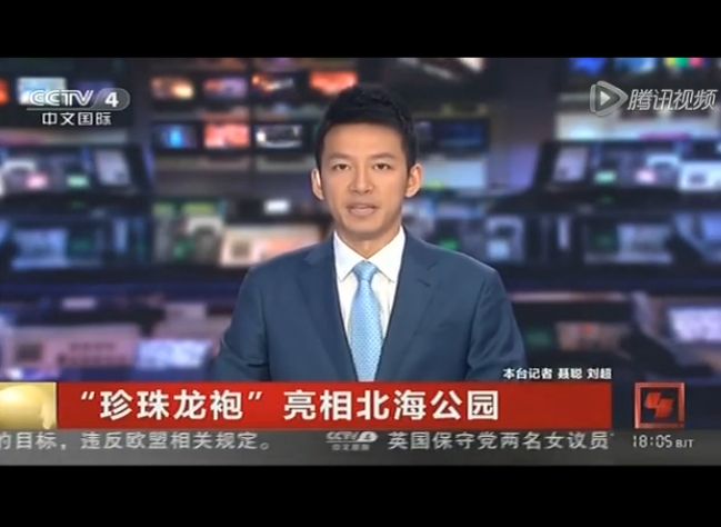 �V����������������������