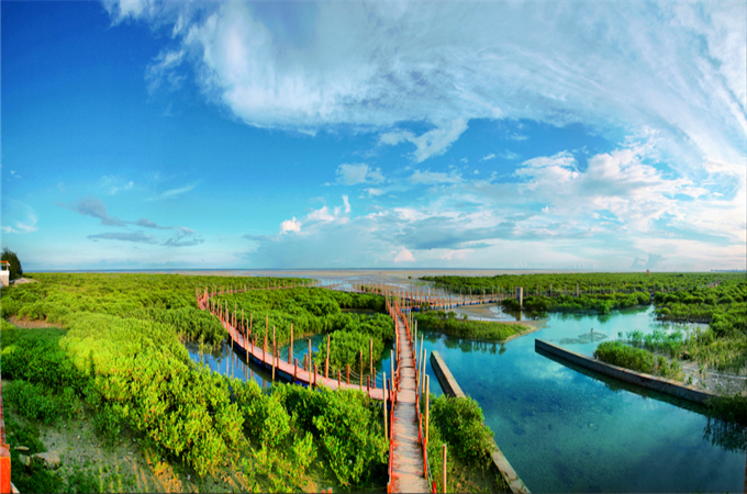 �������V������������