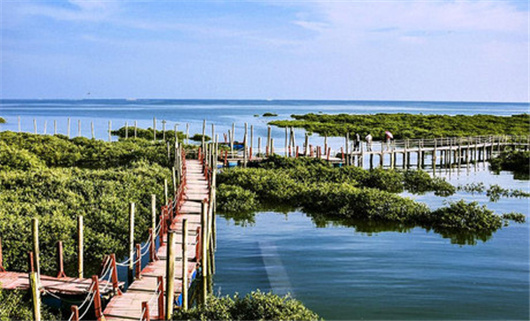 �����������V������������