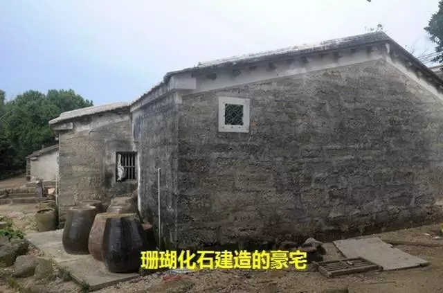 ���ލu��ɺ��ʯ���V������������