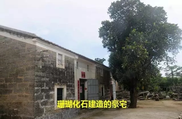 ���ލu��ɺ��ʯ���V������������