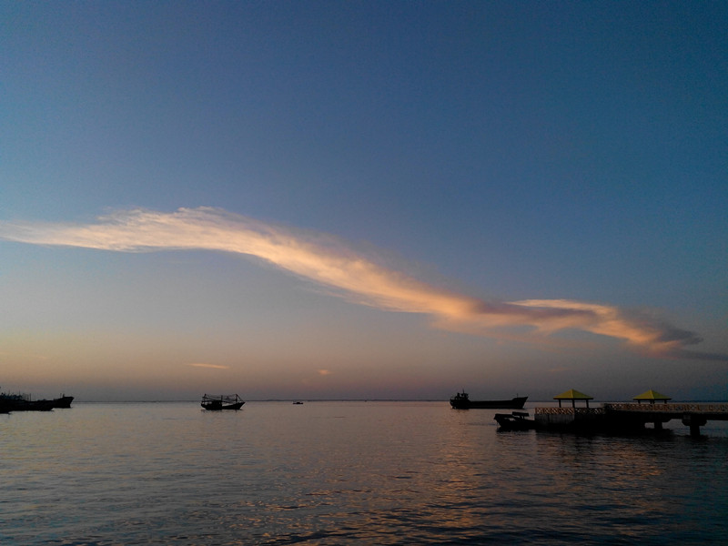 �������V������������