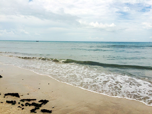 �������ލu���V������������