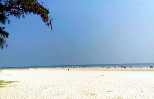 ���������������y�����V������������