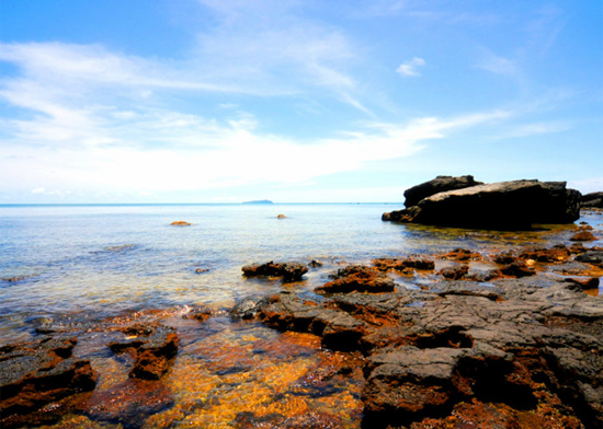 ���ލu�������V������������