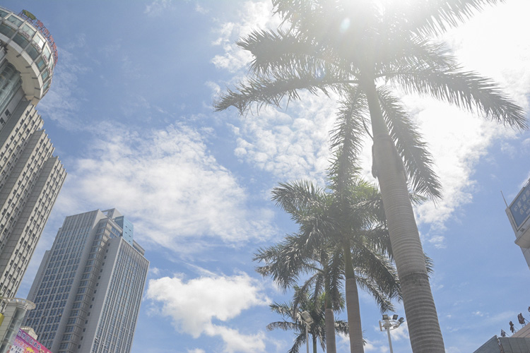 �������V������������