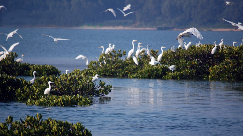 ɽ�ڼt���� �V������������