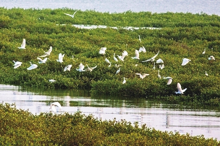 �����������V������������