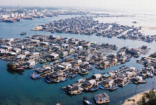 �����D�����V������������