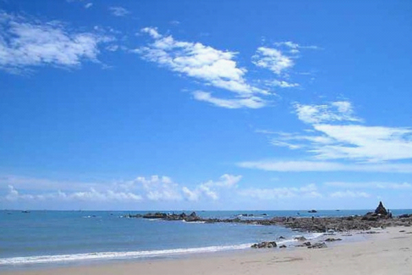 �����D�����V������������