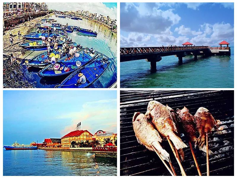 �����D�����V������������