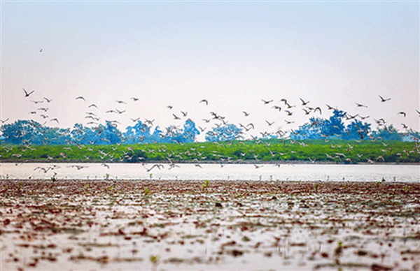 ���������Ǎu���V������������