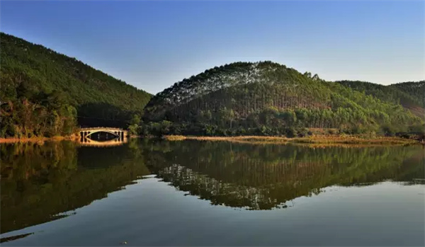 �����������V������������