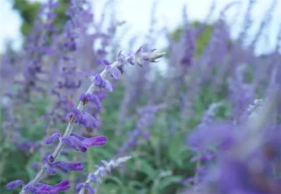 �������h(hu��n)�����V������������