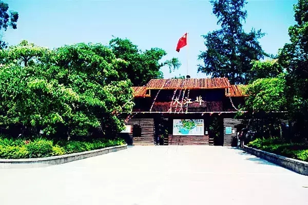 �������󽭲����V������������