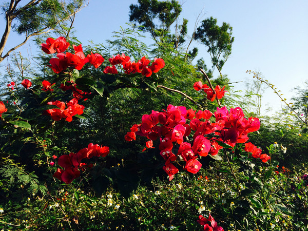 ���ލu���V������������