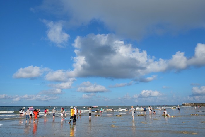 �����y�����V������������