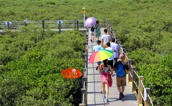 ������������V������������