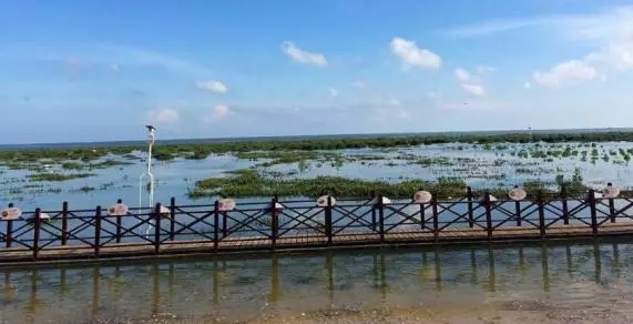 ������������V������������