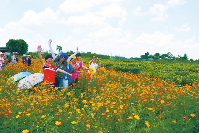 �����������������V������������