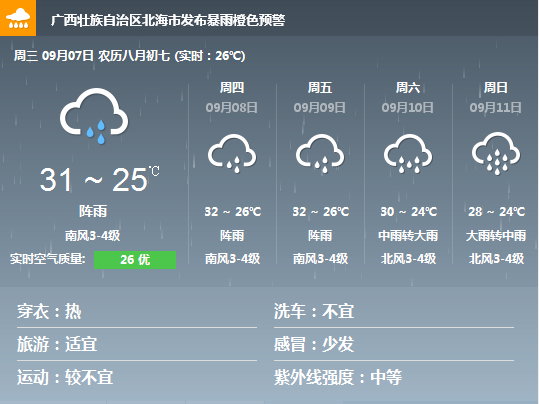 �V���������������������