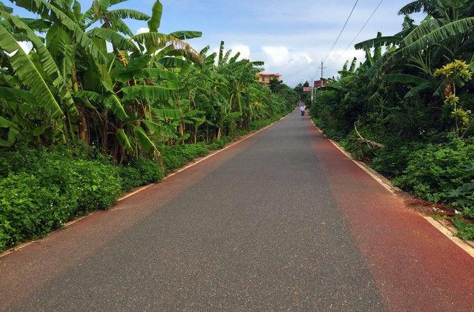 ���ލu�������V������������