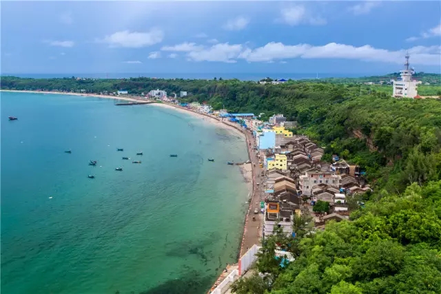 �V�����������������ލu����