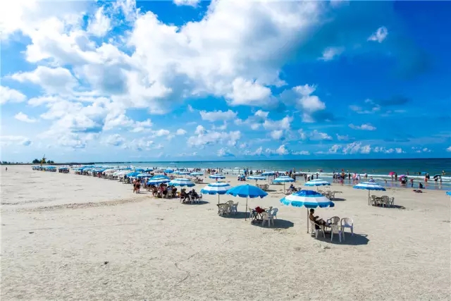 �V�������������������y�������Ρ��t�ڰ�