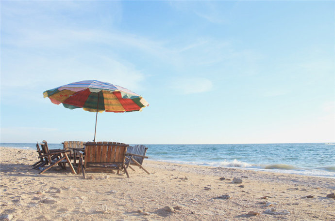 �V�����������������ލu����