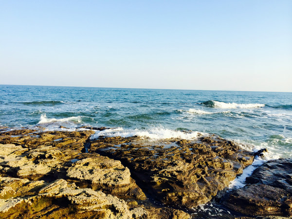 �V�����������������ލu����