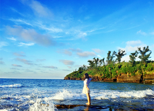 �V�����������������ލu����